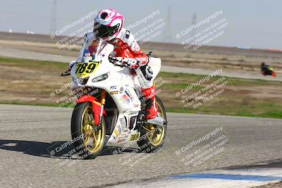 media/Feb-21-2025-Lets Ride (Fri) [[f483f33afd]]/A Group/1220pm (Wheelie BUmp)/